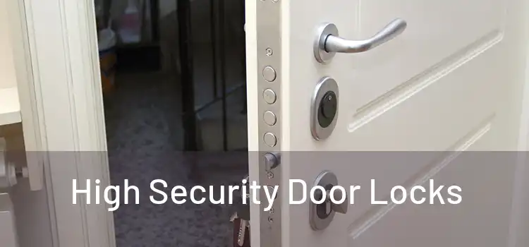High Security Door Locks
